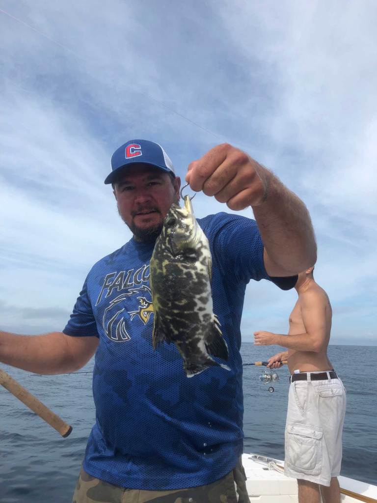 Pelagic Juvenile Wreckfish