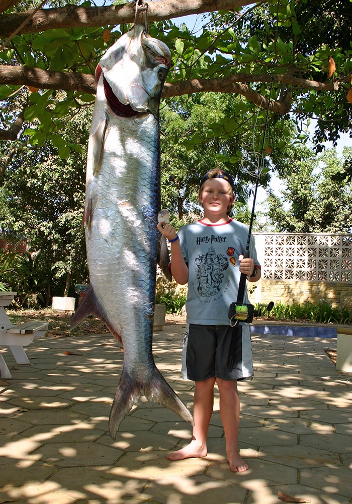A Magical Catch 23666.jpg