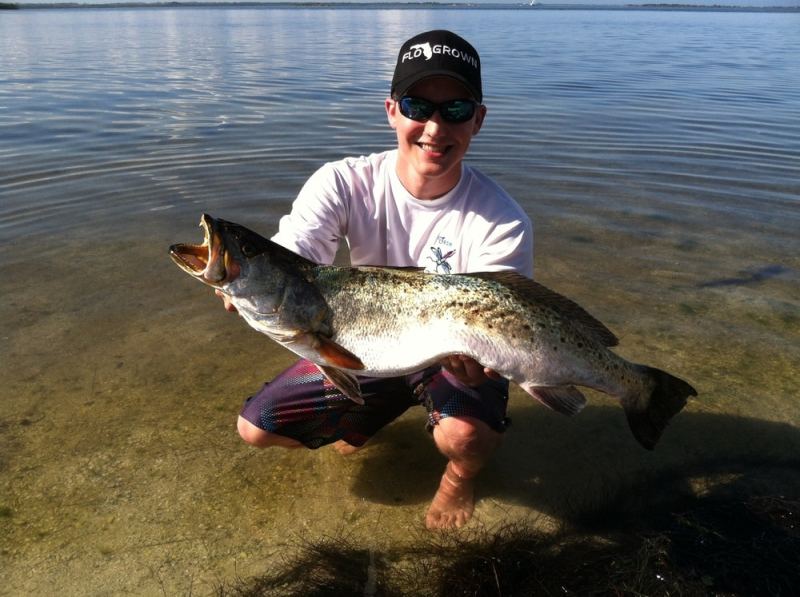 Huge Gator Trout
