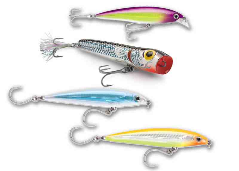 Barracuda bait options