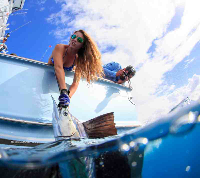 sailfish release