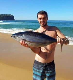 Kamikaze albacore Kamikaze albacore