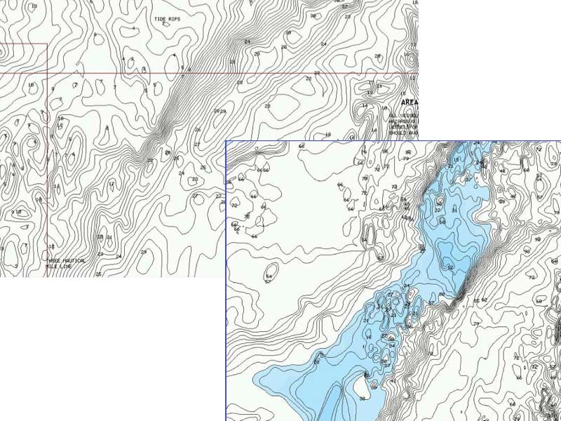 Navionics Fish Layer Navionics Fish Layer