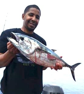 Mexico Bluefin Tuna Mexico Lifts Ban on Pacific Bluefin Tuna Fishing