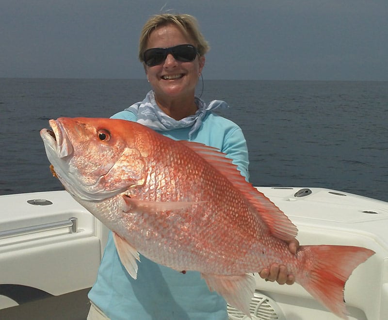 Red snapper will enjoy a new accounting.