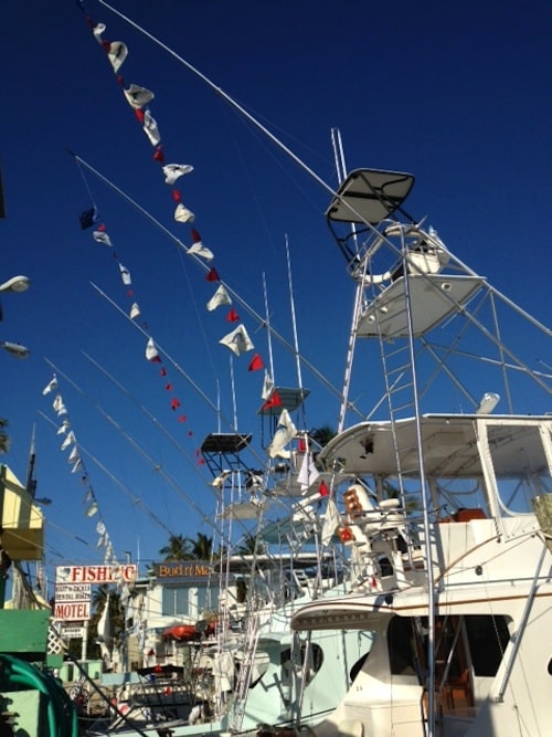 Catch22.Sails.Tightening Drag Catch22.Sails.Tightening Drag