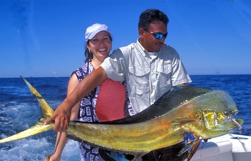 Dorado.Pacific Currents Dorado.Pacific Currents