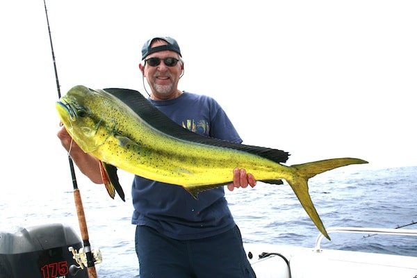 Dorado Fishing Kicks into High Gear Dorado Fishing Kicks into High Gear