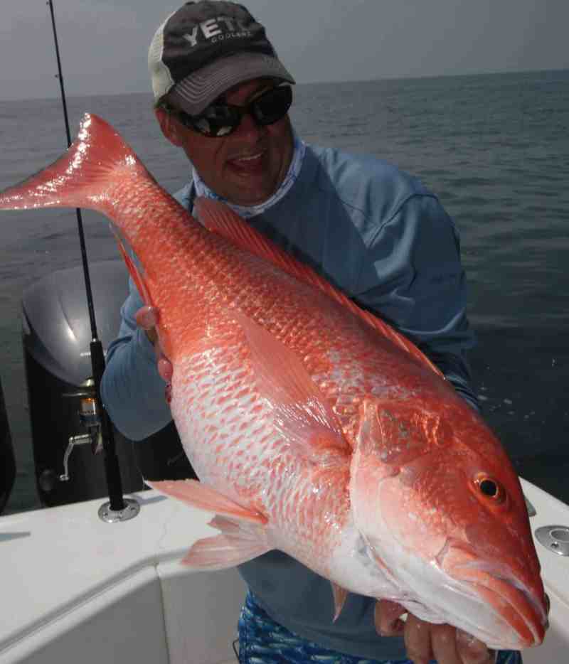 Louisiana Red Snapper Fishermen Face Better Days Louisiana Red Snapper Fishermen Face Better Days