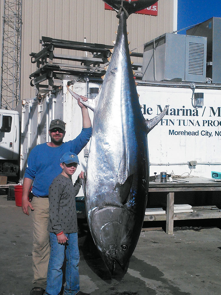 tuna grady bunch tuna grady bunch