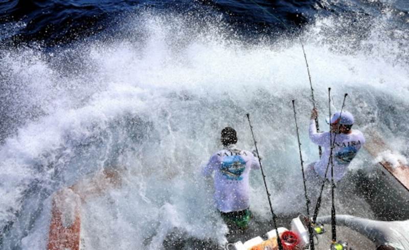 Backing Down on Big Fish