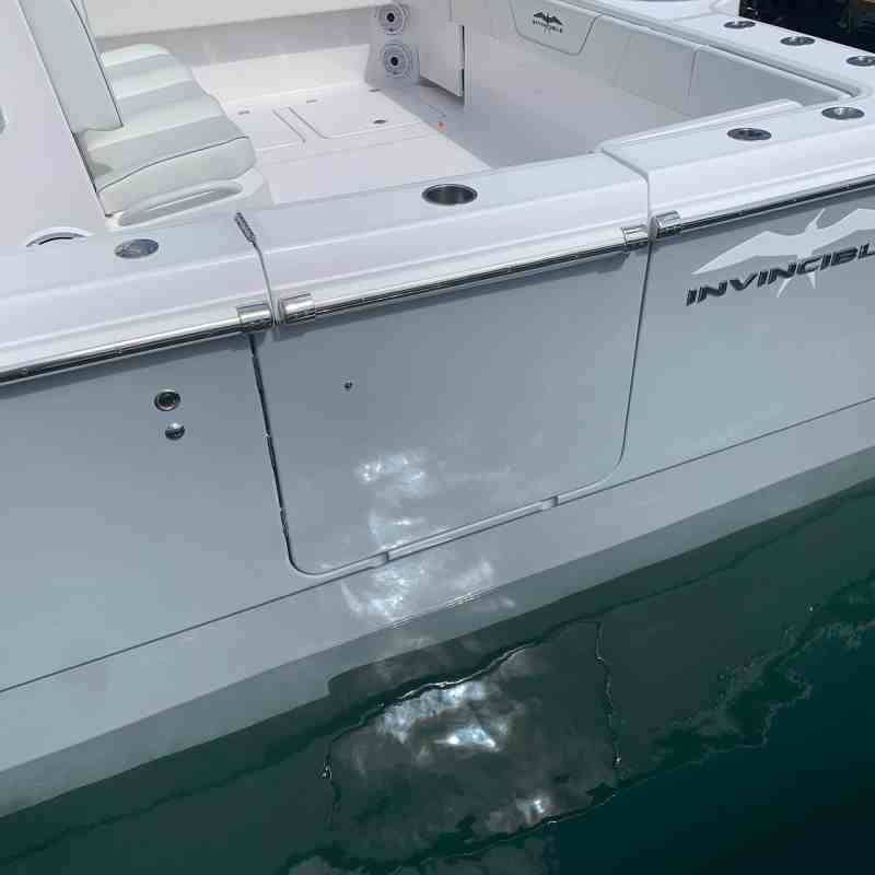 Invincible 35 Cat dive door