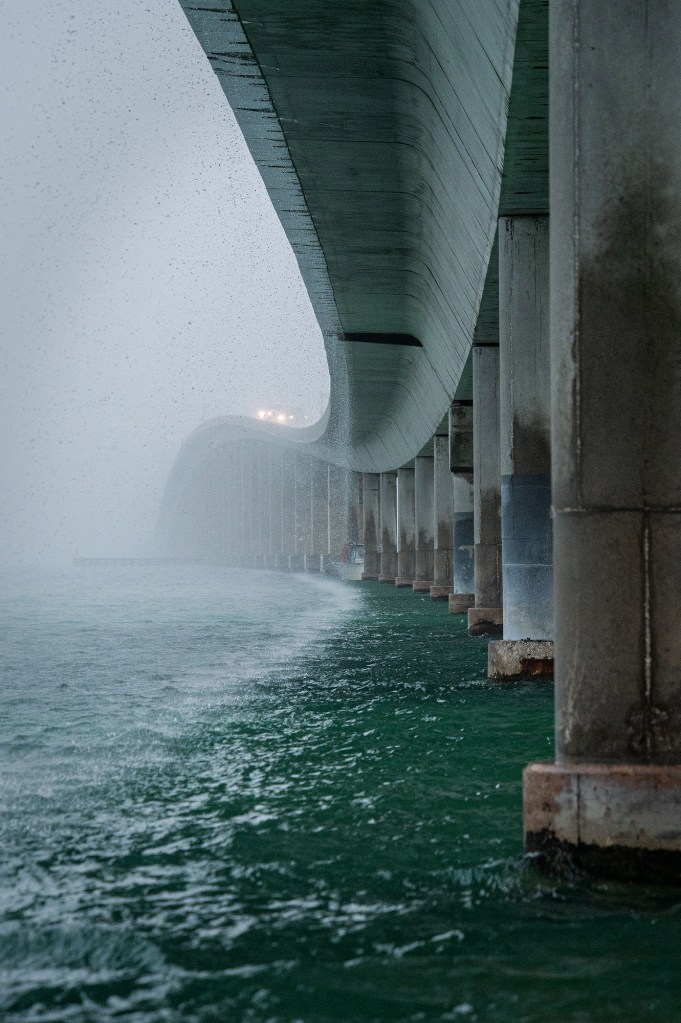 Saltwater bridges provide great cover