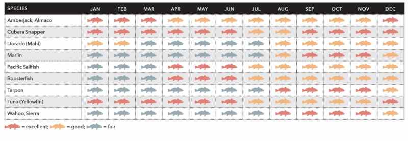 Fish species along the Pacific Coast of Colombia