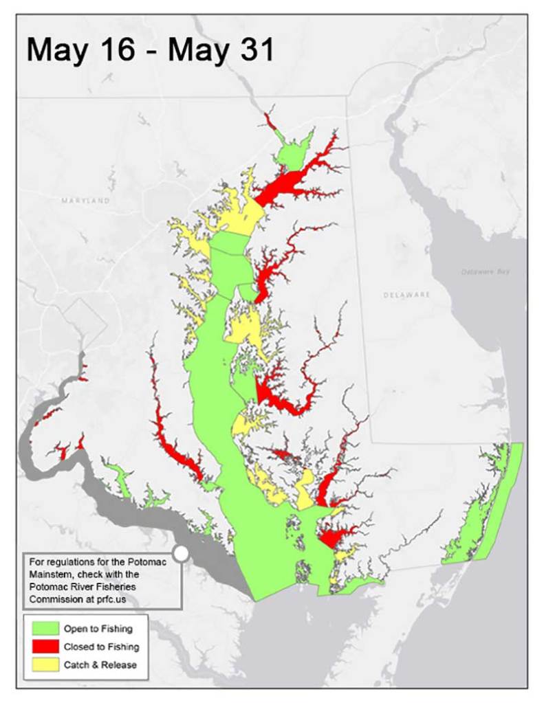 Chesapeake’s fishing-zone map