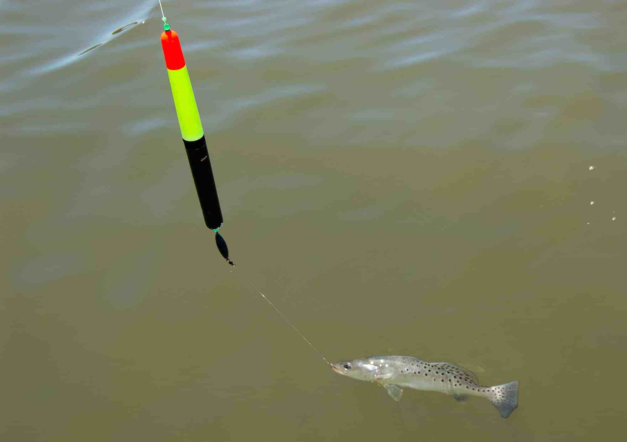 Piles Float How to Rig Slip Floats and Popping Corks