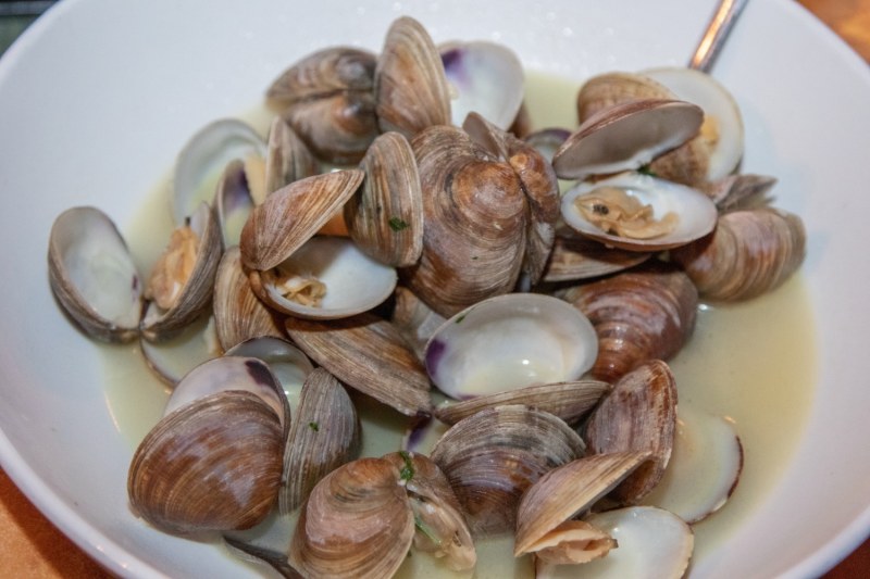 Clams from Cedar Key