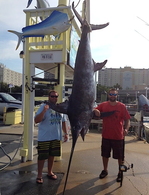 Swordfish.JustinWilson Swordfish.JustinWilson