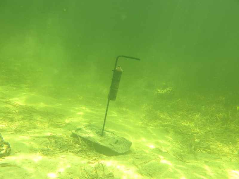Acoustic Tag Receiver Deployed