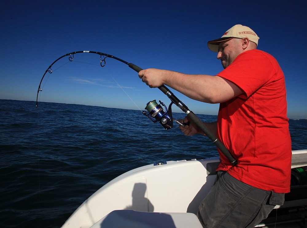 spinning reel fish fight