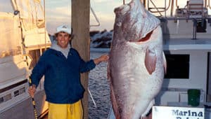 Biggest Grouper Ever Caught