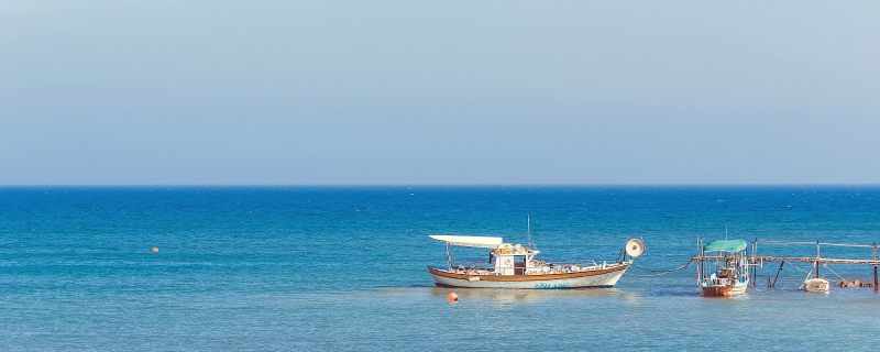 The dive centers, deep sea guides, and marinas you need to know about Bimini Destination Guide