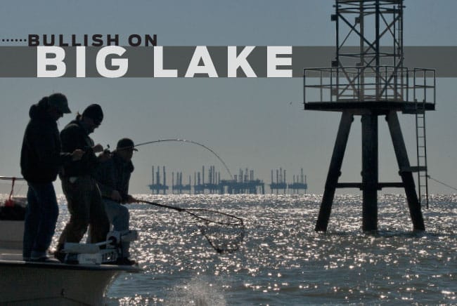 bullish big lake bullish big lake