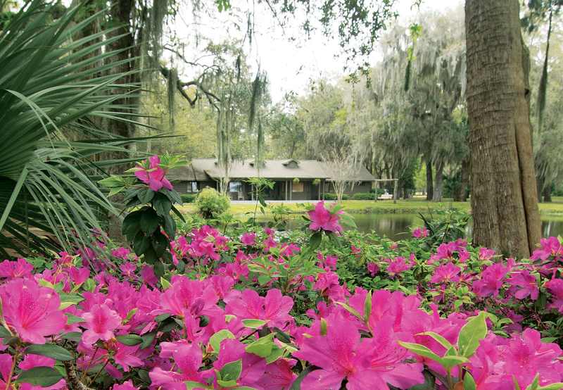 Cabin Bluff Lodge in Spring