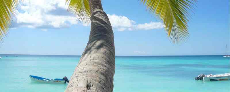 The fishing charters, boat rentals, and accommodations you need to know about Cat Island Destination Guide