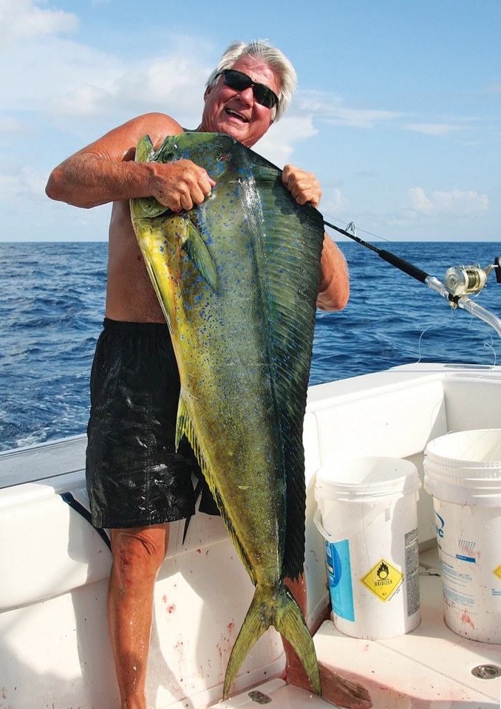 Jimmy Johnson Dolphin