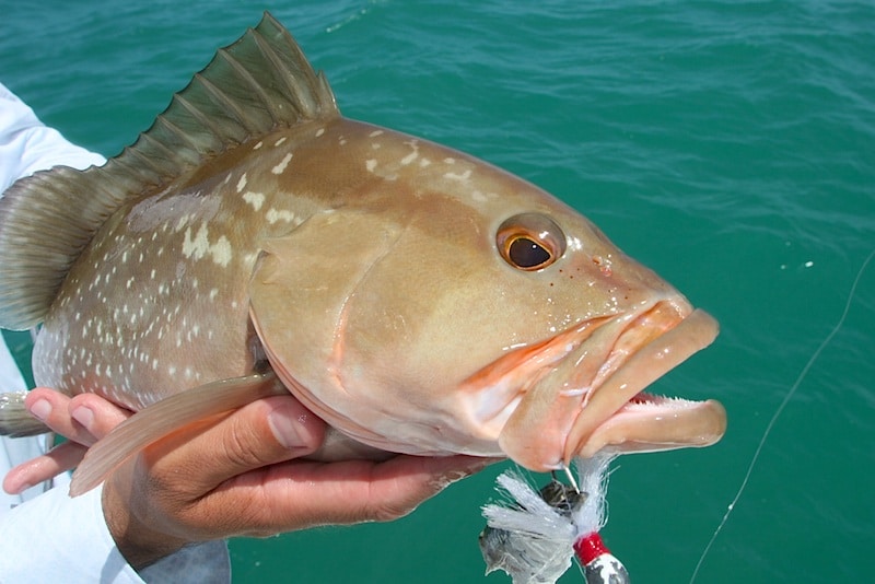 columbia outing_23.jpg