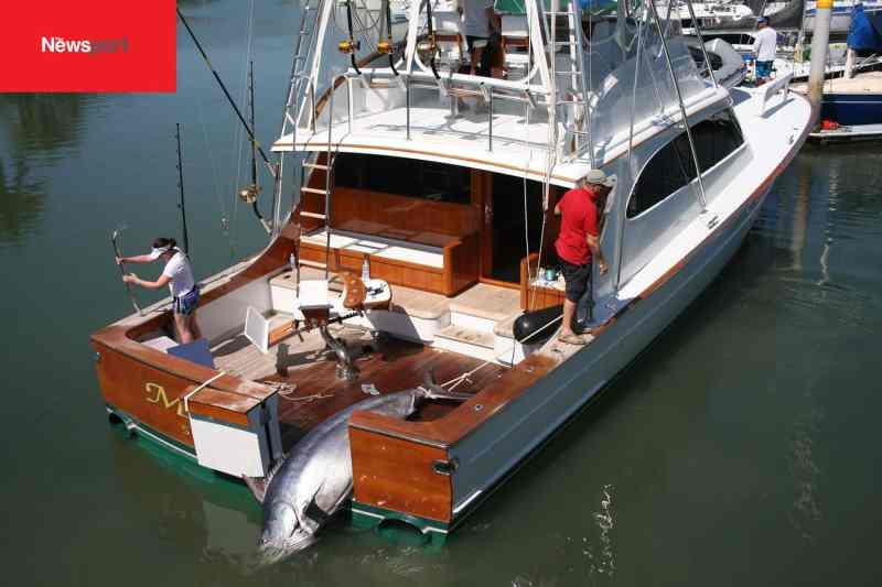 dead marlin dead marlin