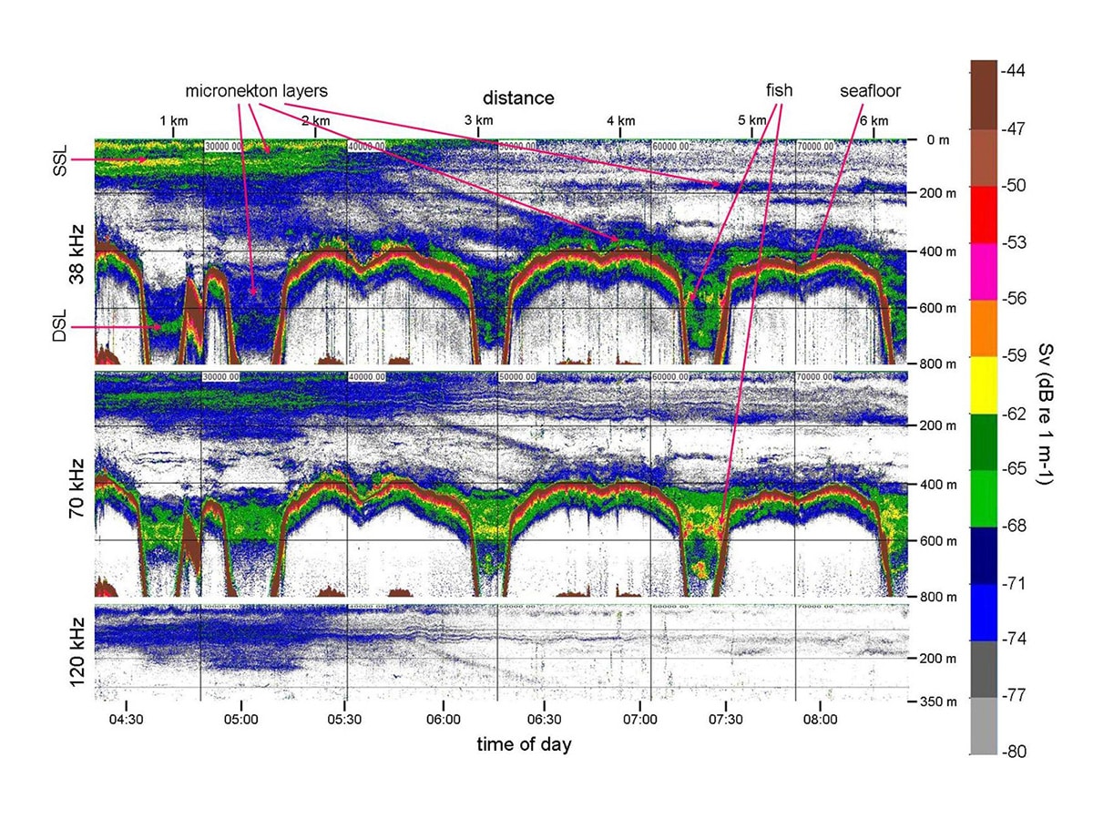 Navionics Api Navionics API | Sport Fishing Mag