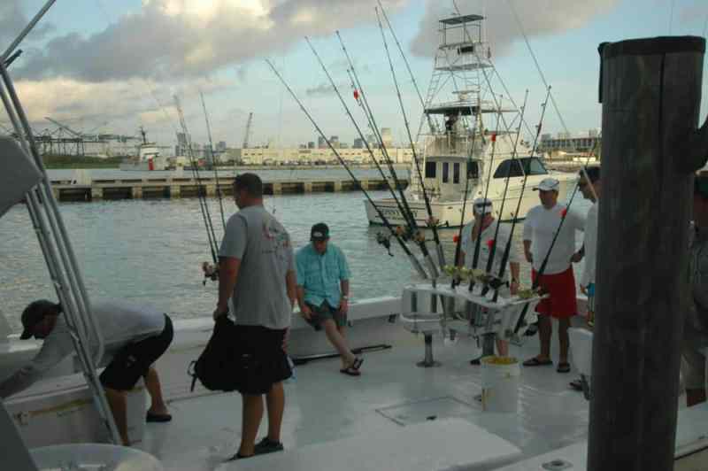 dolphins_fishing_08.jpg
