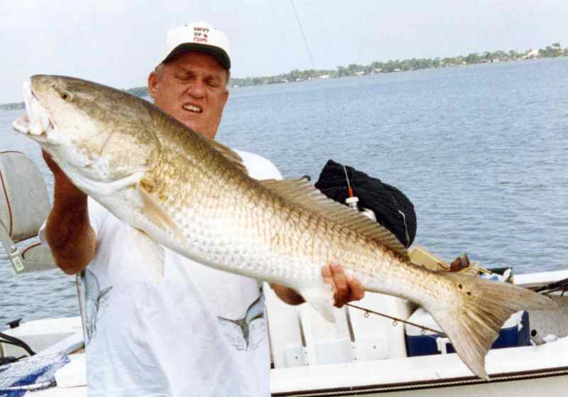 world record red drum