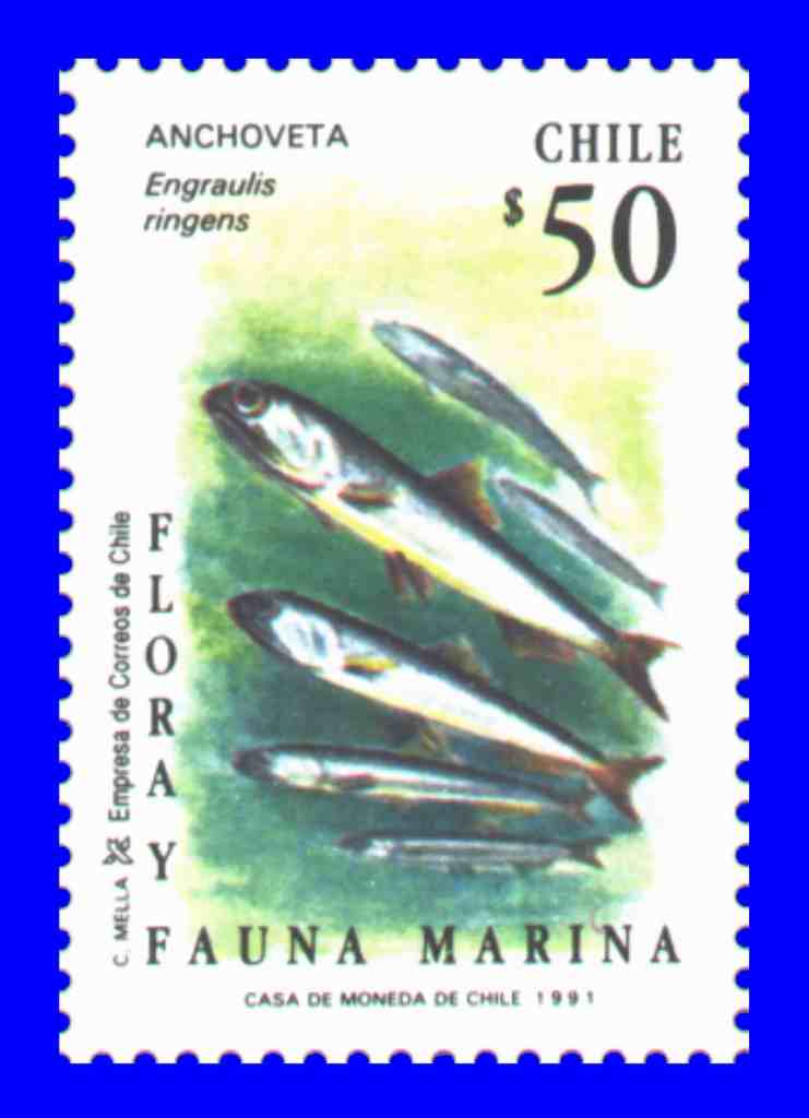 historic big game fishing