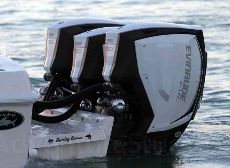 Evinrude E-TEC G2 evinrude1.jpg