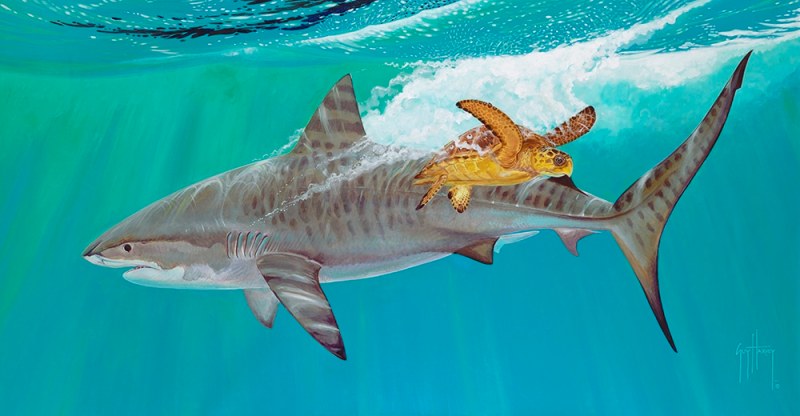 Guy Harvey painting fair game