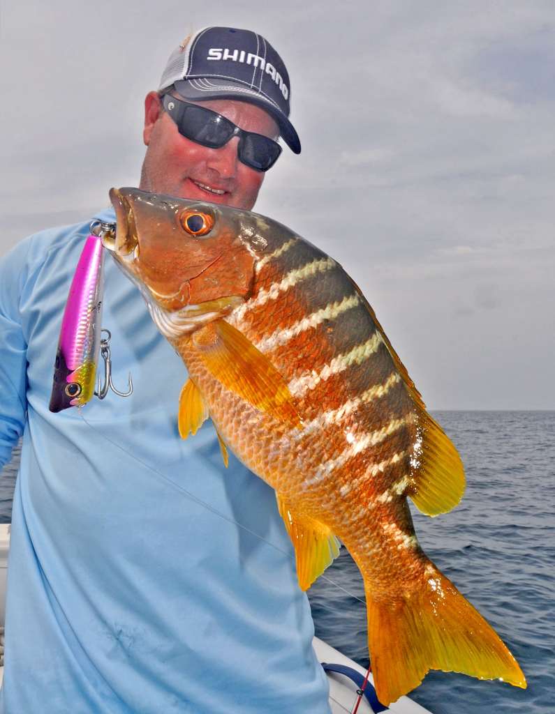 Schoolmaster snapper caught fishing Panama San Blas Islands