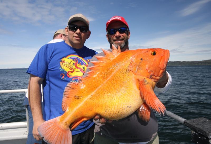 2016 Charter Captains of the Year from Sport Fishing Magazine - Capt Andy Mezirow