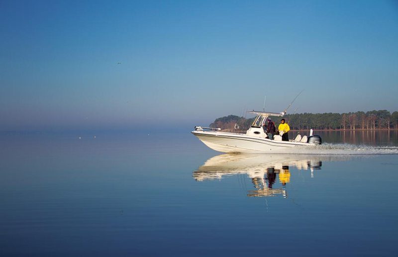 gradywhitecoastal6.jpg