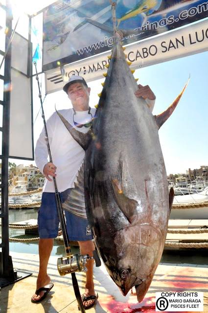 biggest tuna yellowfin fishing Cabo San Lucas Baja California Sur Mexico