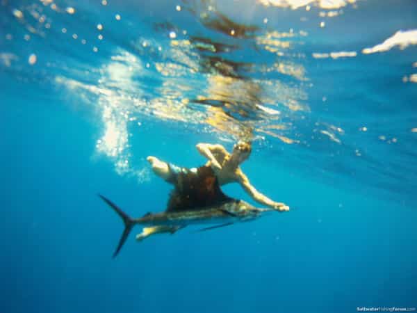 handpicked-fish-pic-32.jpg