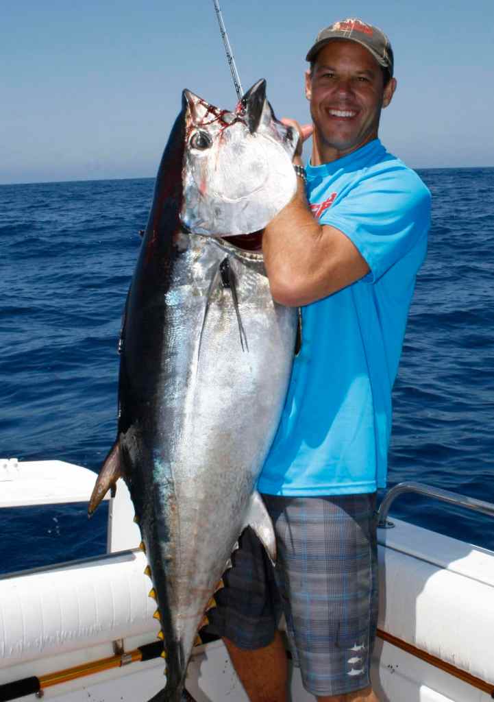 bluefin tuna