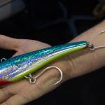cat stalker fishing pole Cat Caster Fishing Pole Toy
