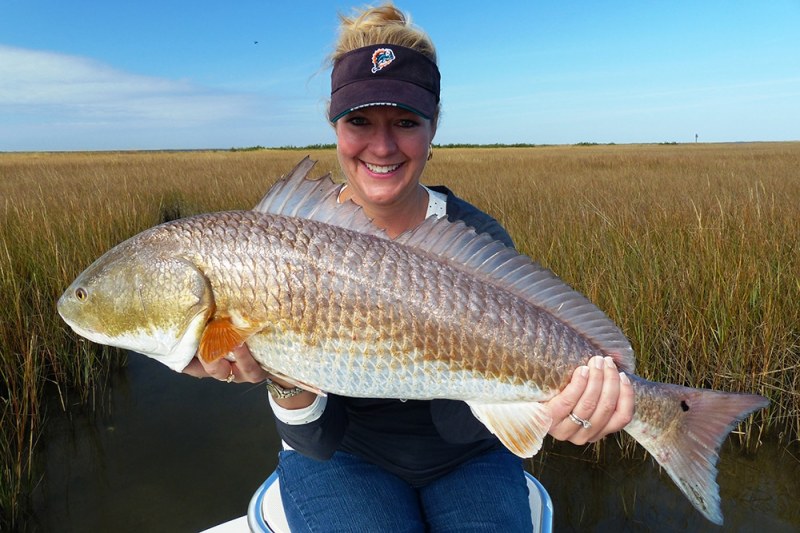 Red Hot Louisiana record redfish catch