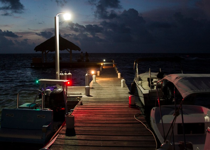 Belize Fly Fishing