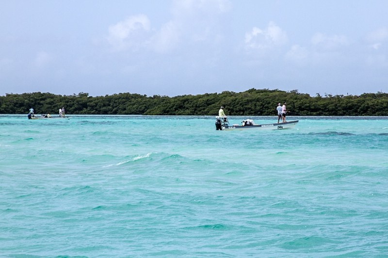 Belize Fly Fishing - 5