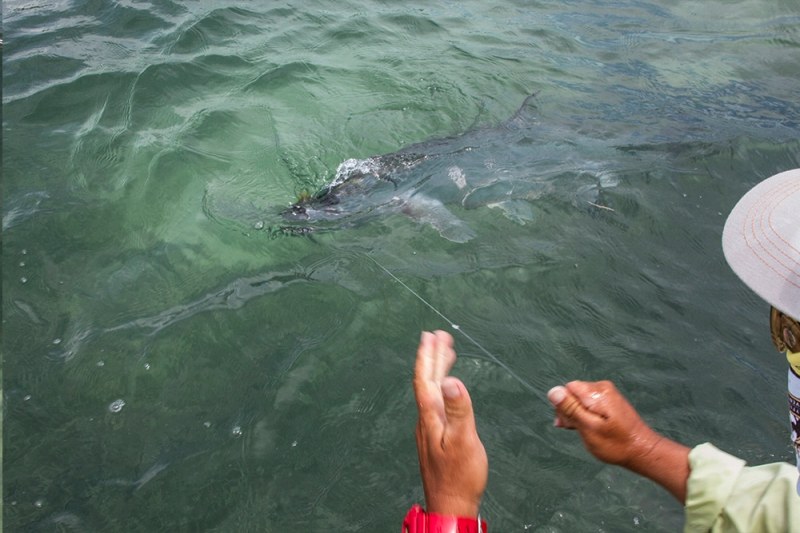 Belize Fly Fishing - 8