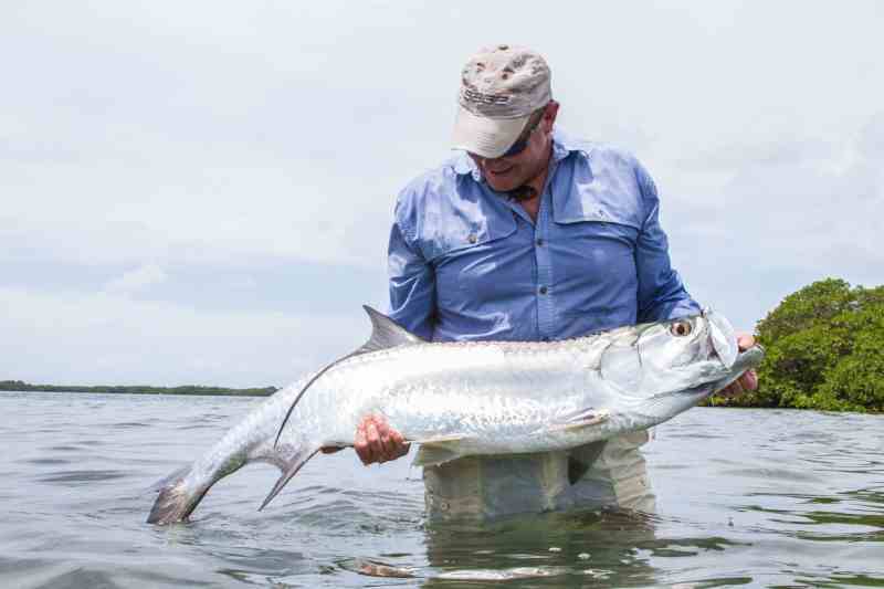 Belize Fly Fishing Tarpon - 2